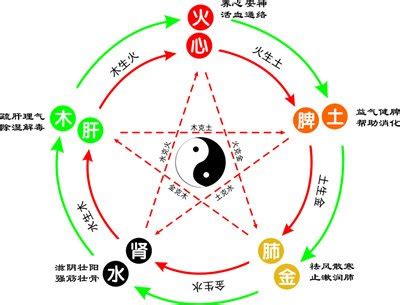 森五行|森字五行属什么的